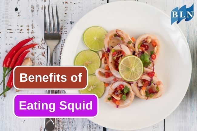 These Are 5 Health Benefit On Consuming Squid